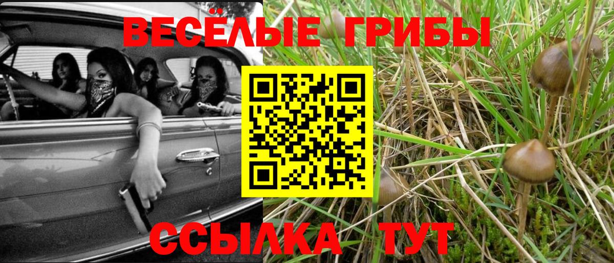 Галлюциногенные грибы Psilocybine cubensis Гусь-Хрустальный
